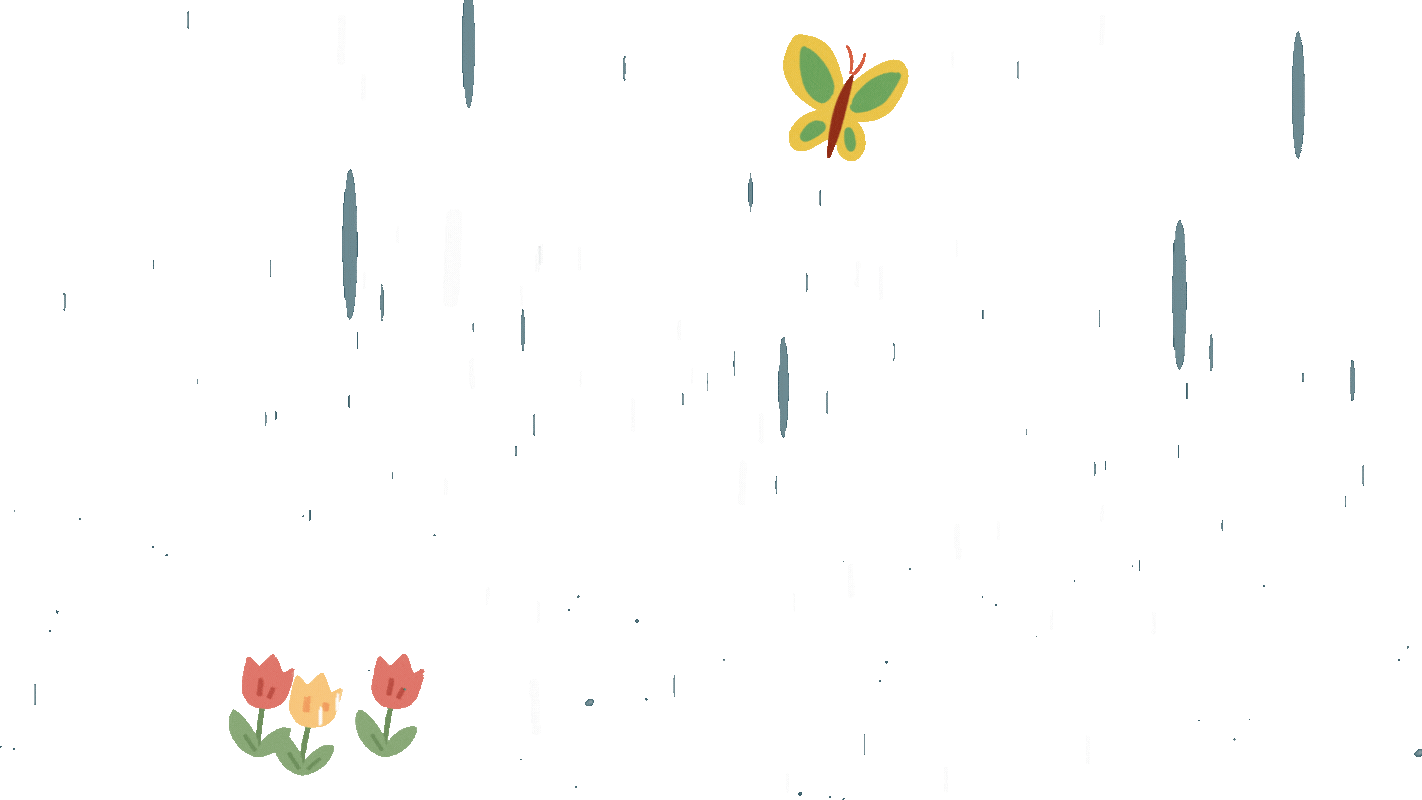 动画